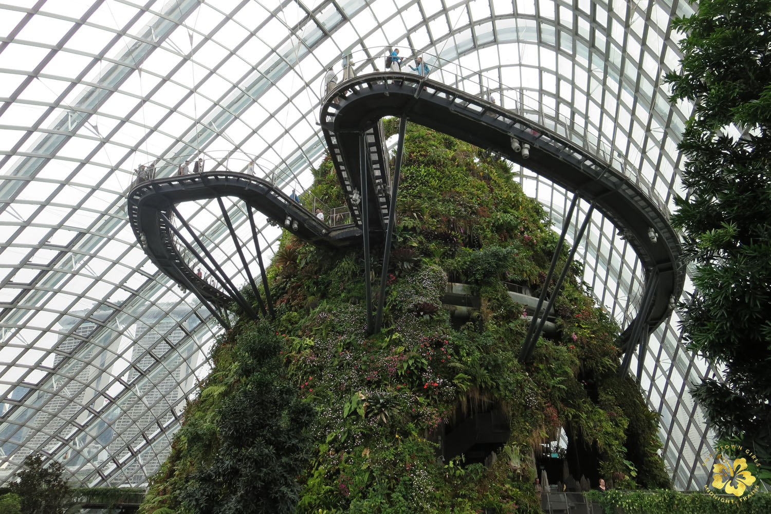 singapore gardens by the bay cloud forest 01