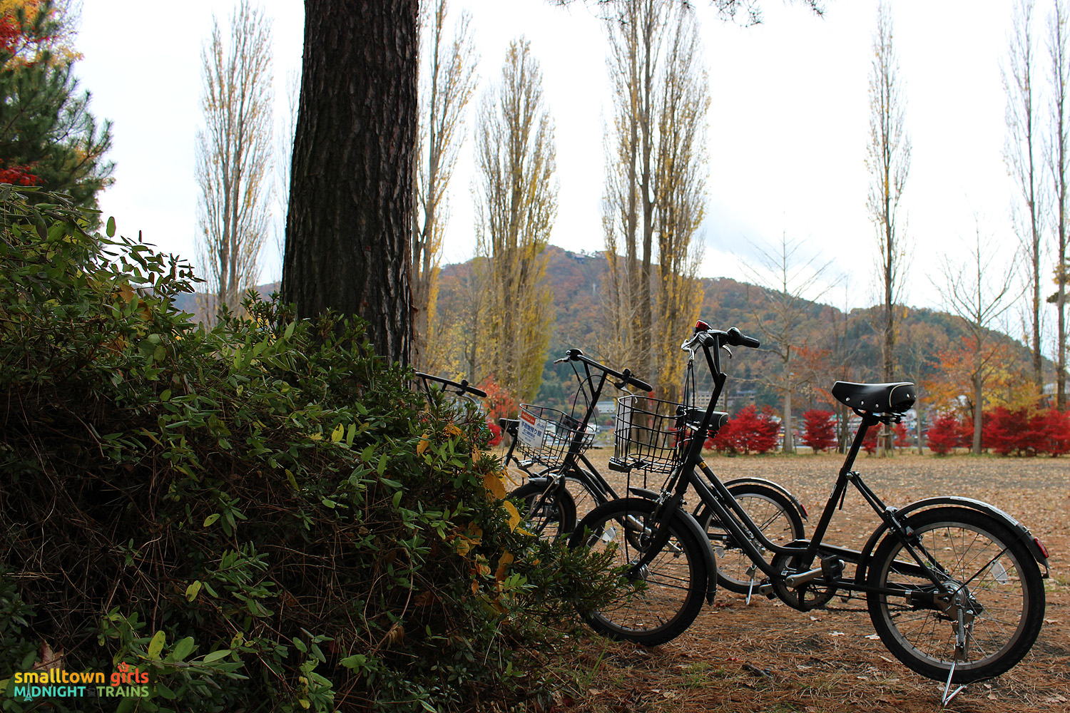 SGMT Japan Lake Kawaguchi 22 Fall foliage and parked bicycle
