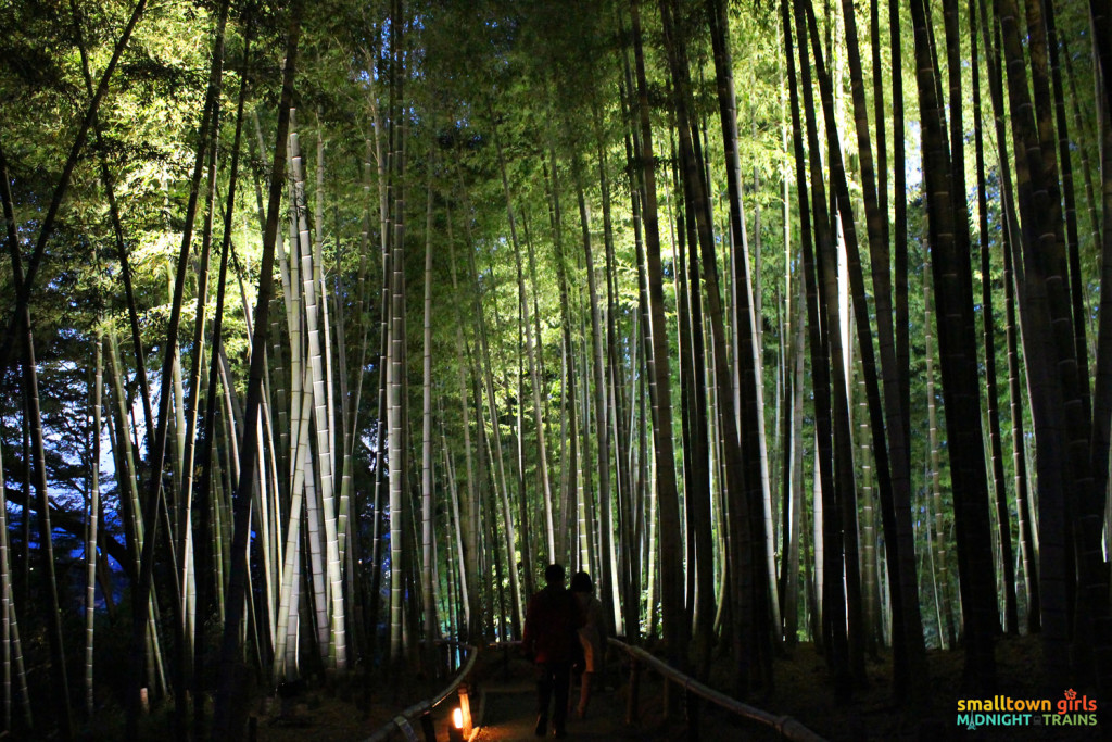SGMT Japan Kyoto Kodaiji Temple 06 bamboo grove