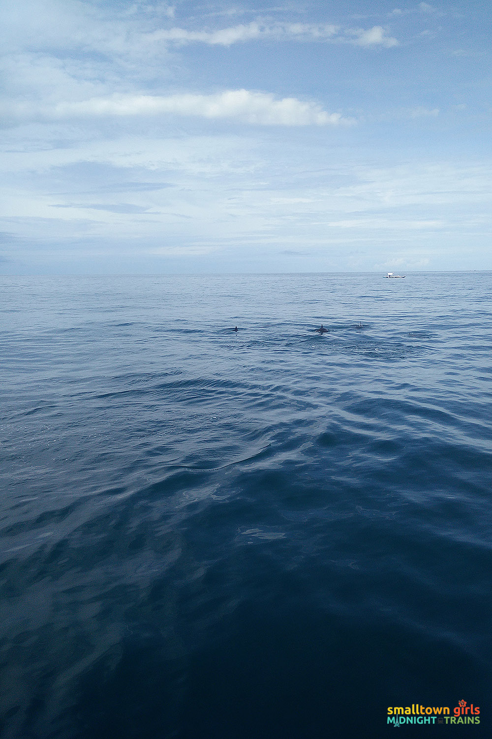 SGMT Palawan Dolphin Watching in Puerto Princesa 01