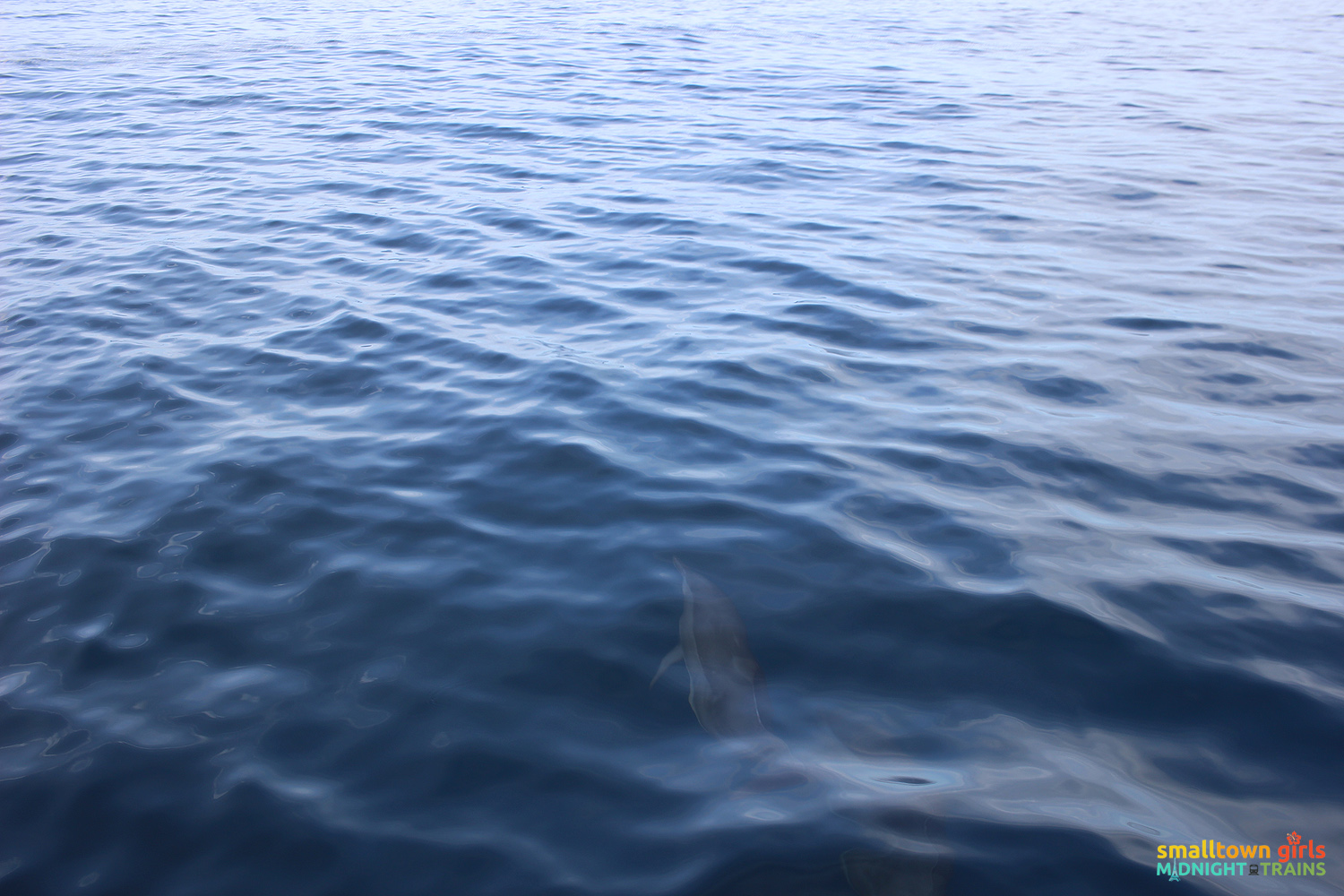 SGMT Palawan Dolphin Watching in Puerto Princesa 02