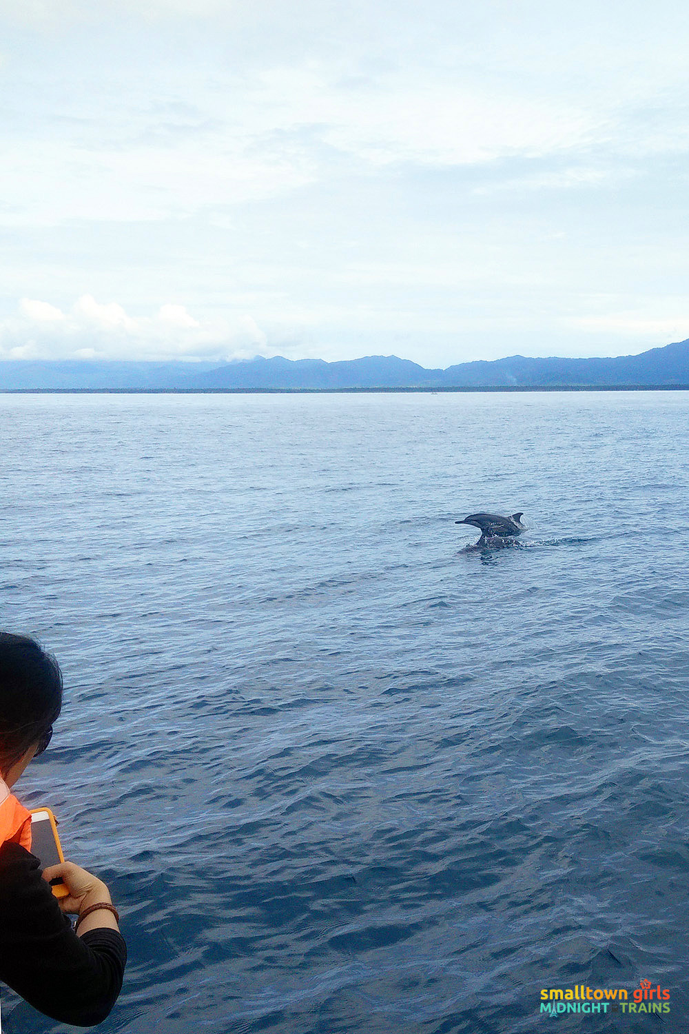SGMT Palawan Dolphin Watching in Puerto Princesa 06