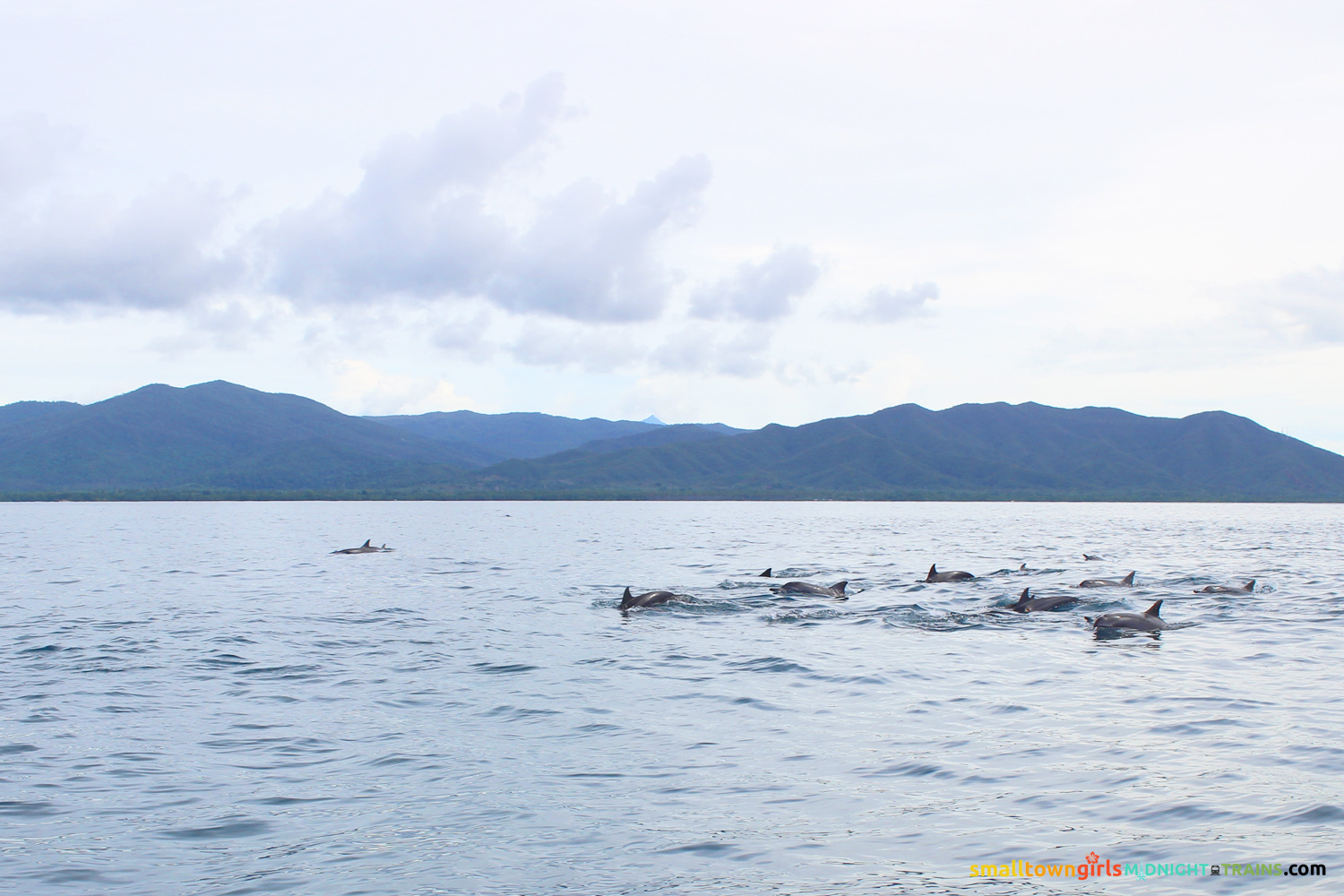SGMT Palawan Dolphin Watching in Puerto Princesa 08
