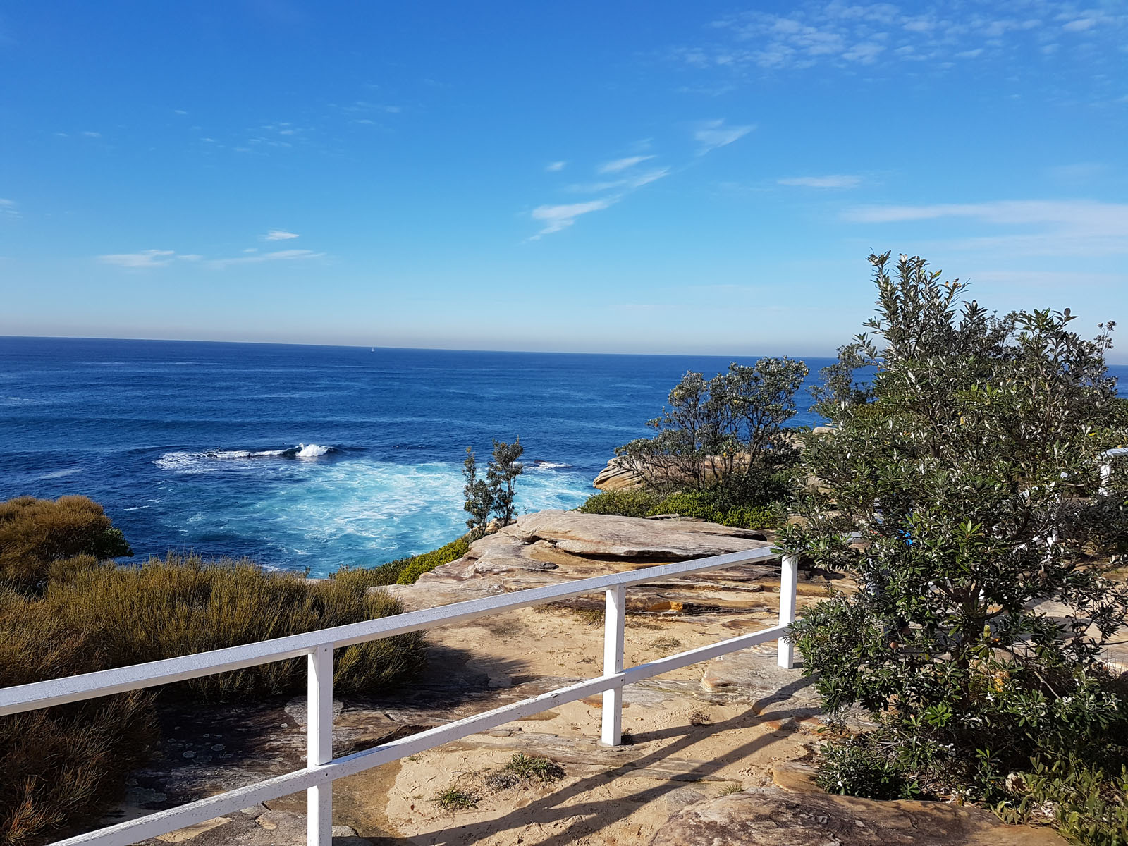 SGMT Australia Sydney_Bondi to Coogee Coastal Walk_09 Sea and vegetation