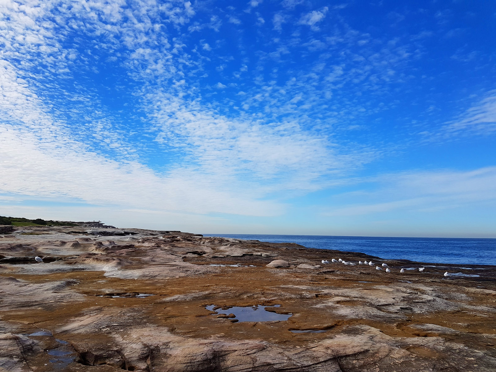 SGMT Australia Sydney_Bondi to Coogee Coastal Walk_14 Clovelly Beach Cliff Clouds and Birds