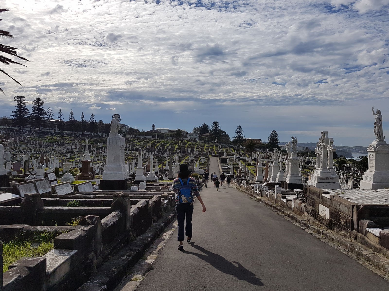 SGMT Australia Sydney_Bondi to Coogee Coastal Walk_18 Waverley Cemetery