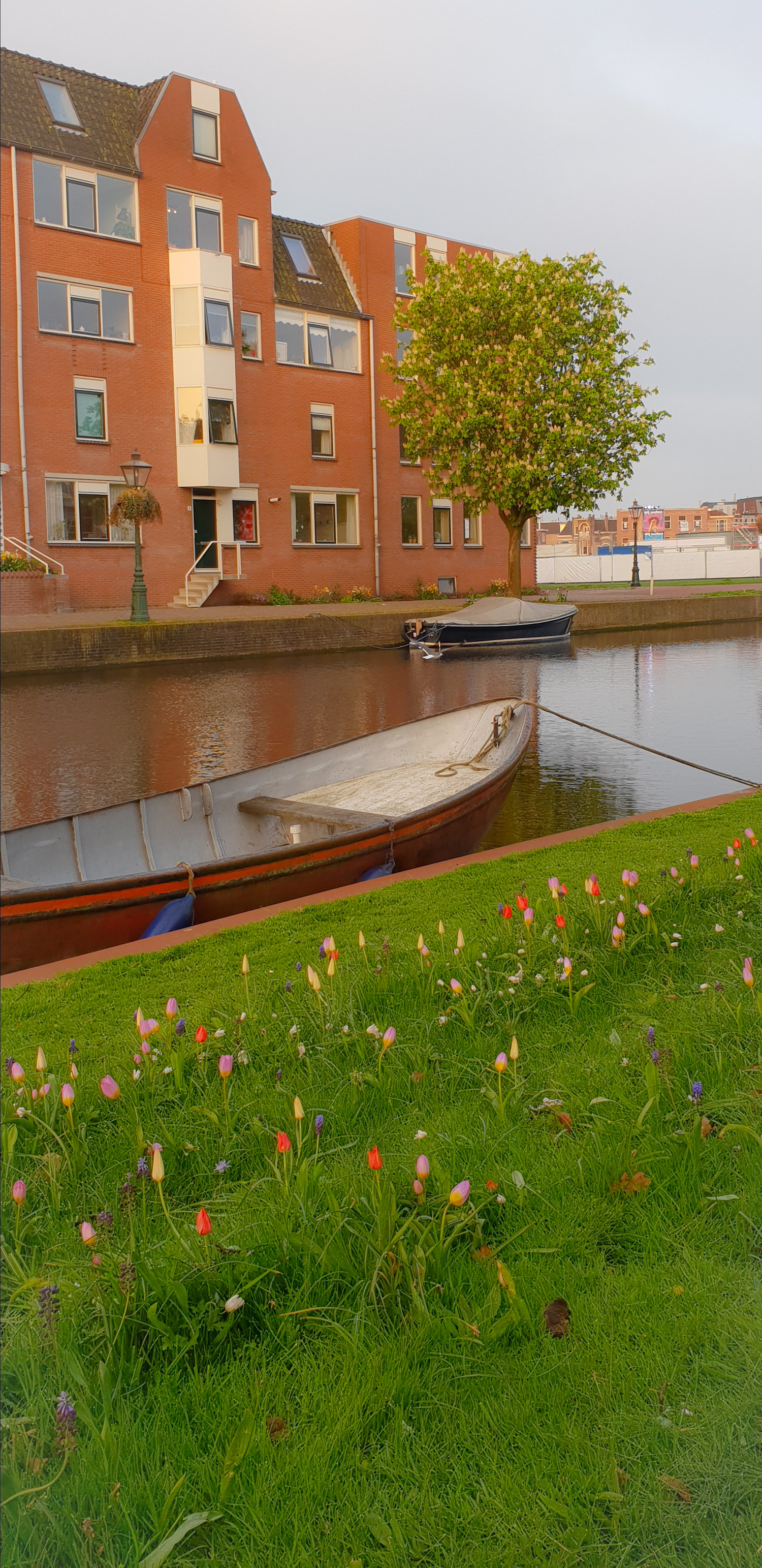 SGMT | Leiden | Boats and buildings