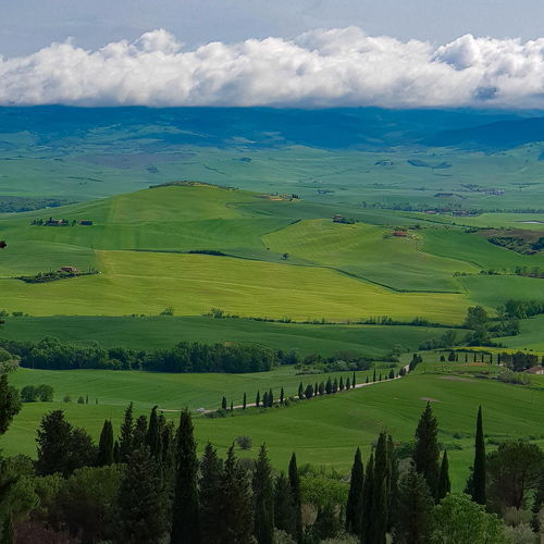 SGMT | Book My Instagram | Tuscany Tour from Florence